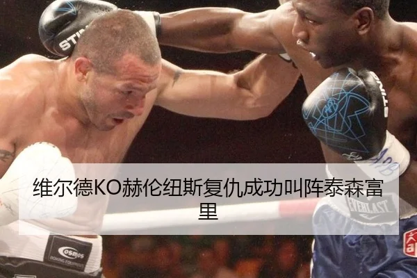 维尔德KO赫伦纽斯复仇成功叫阵泰森富里