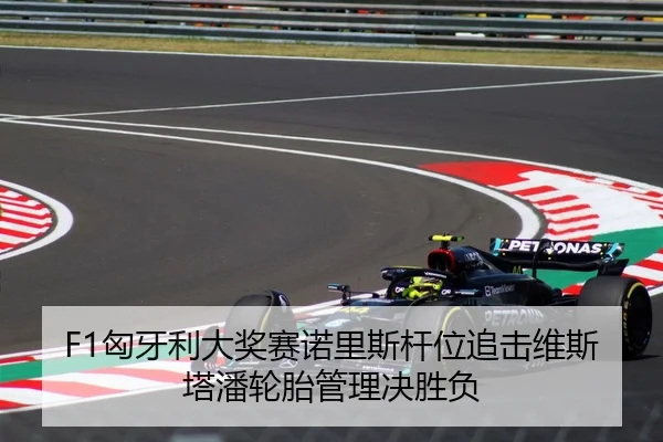 F1匈牙利大奖赛诺里斯杆位追击维斯塔潘轮胎管理决胜负
